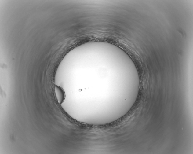 X0000091351009200708101033
