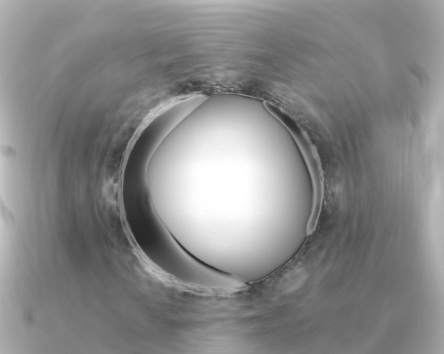 X0000091351010200708101033