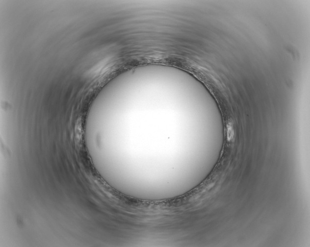 X0000091351011200708101033