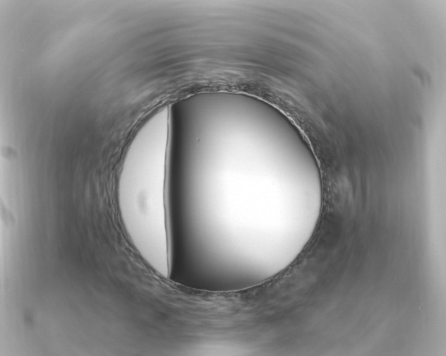 X0000091351013200708101033