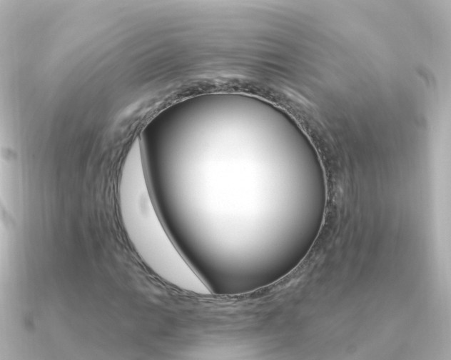 X0000091351014200708101033