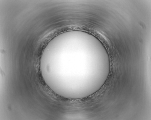 X0000091351015200708101033