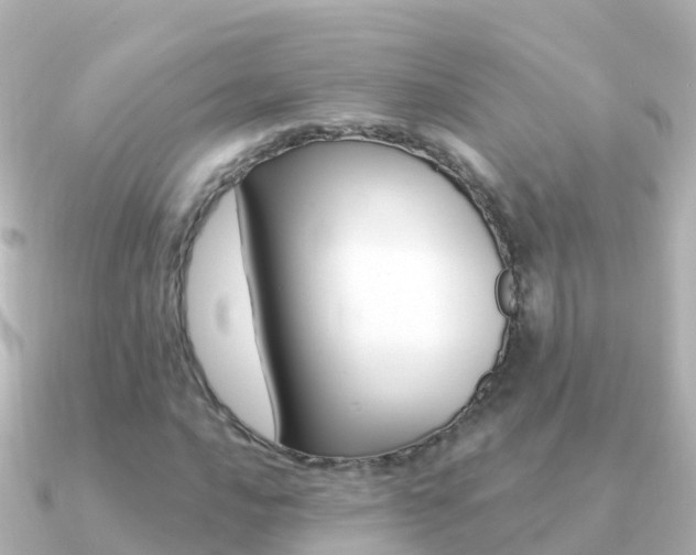 X0000091351016200708101033