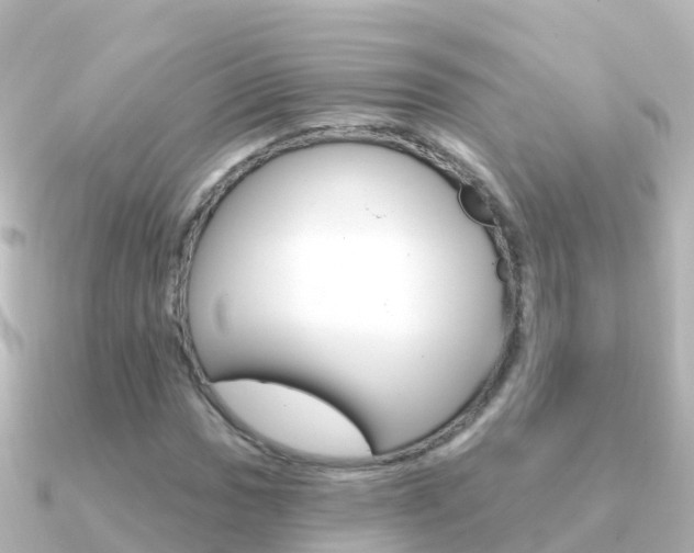 X0000091351017200708101033