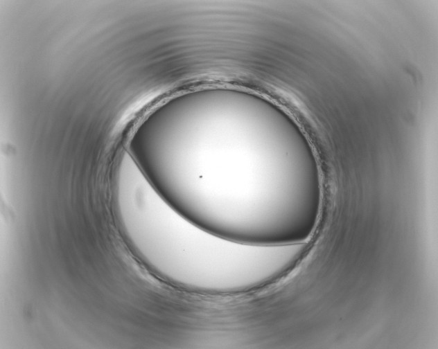 X0000091351018200708101033