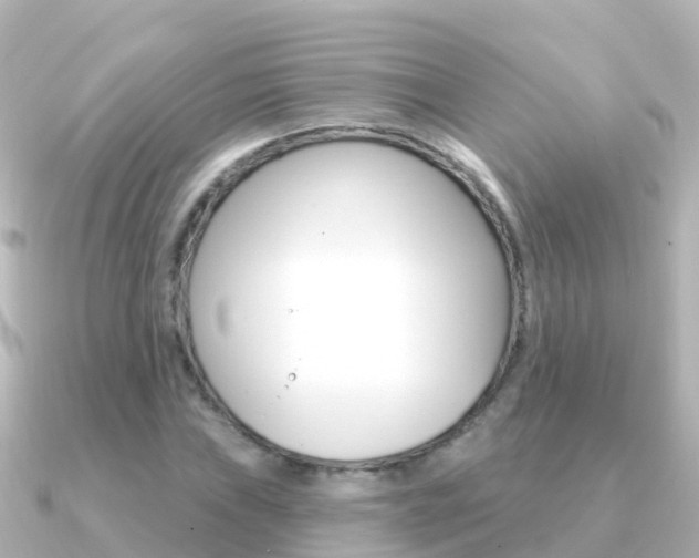 X0000091351019200708101033