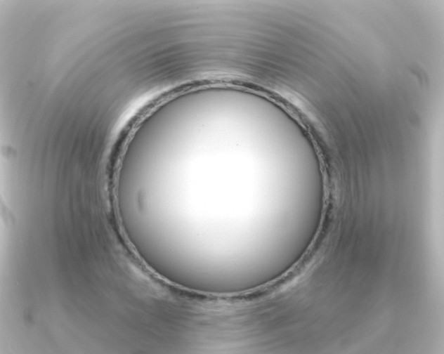X0000091351022200708101033
