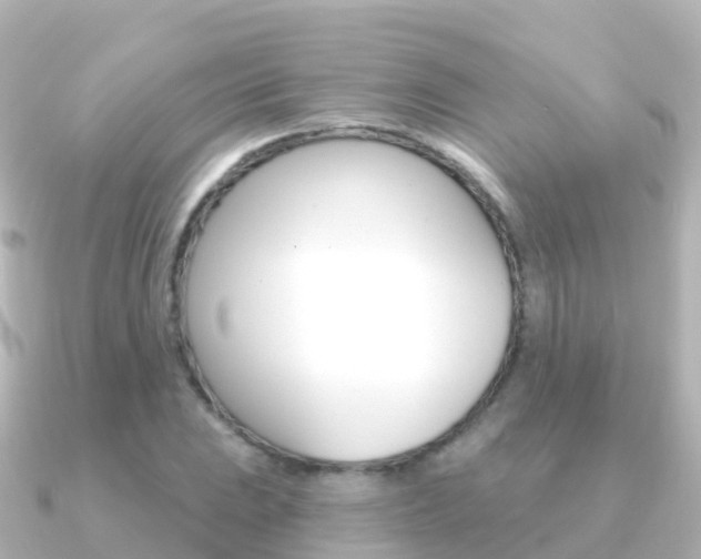 X0000091351023200708101033
