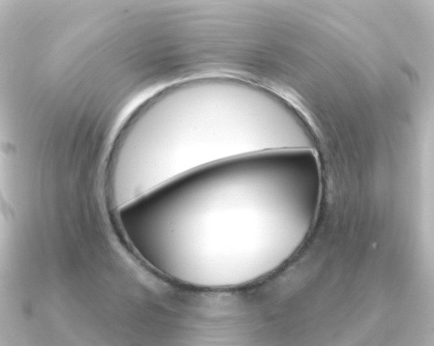 X0000091351024200708101033