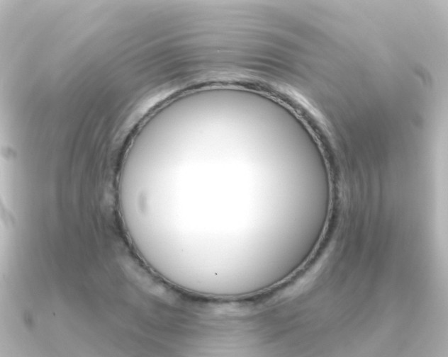 X0000091351025200708101033