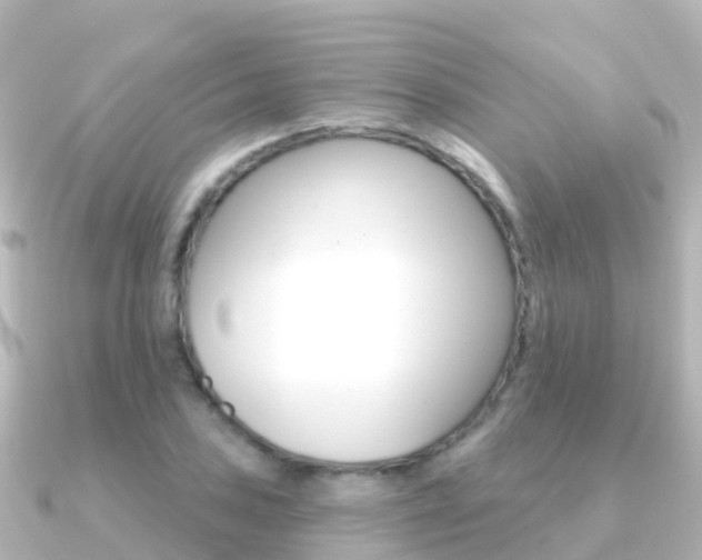 X0000091351027200708101033