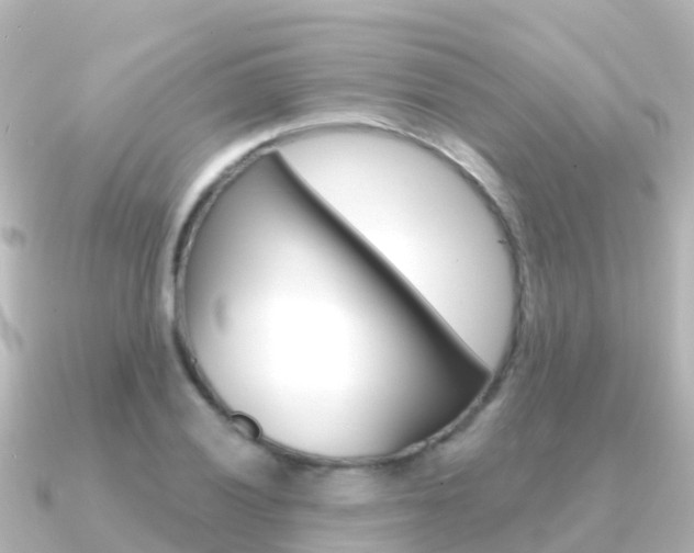 X0000091351028200708101033