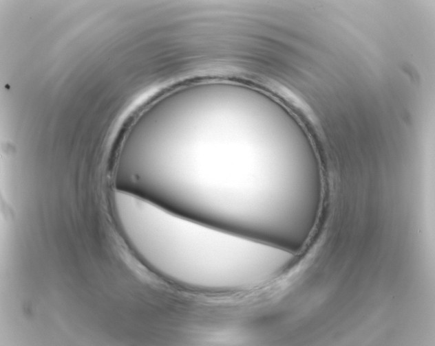X0000091351029200708101033