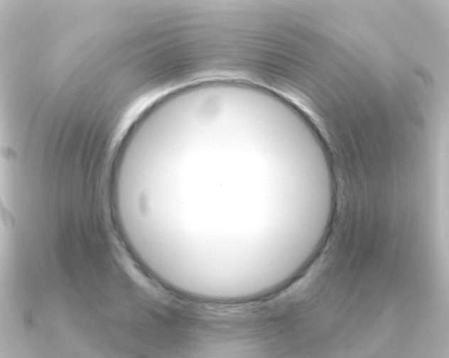 X0000091351030200708101033