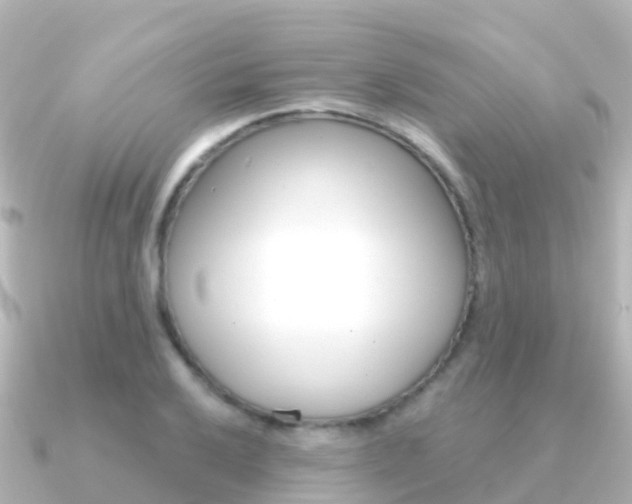 X0000091351032200708101033