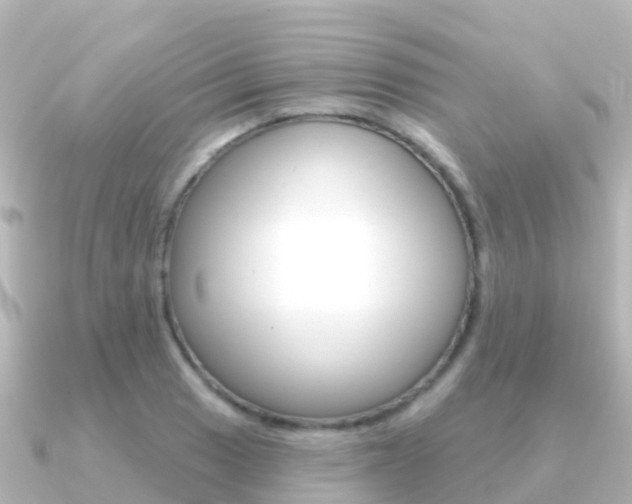 X0000091351033200708101033