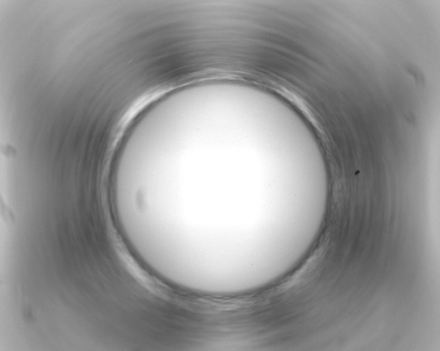 X0000091351034200708101033