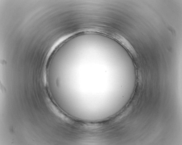 X0000091351036200708101033
