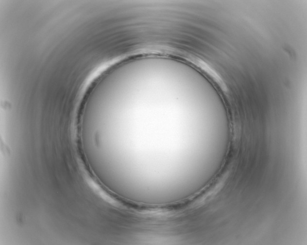 X0000091351037200708101033
