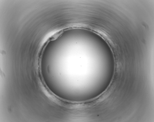 X0000091351038200708101033