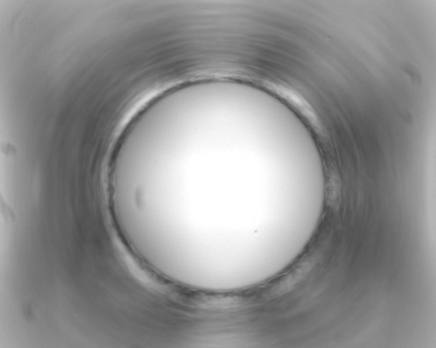 X0000091351039200708101033
