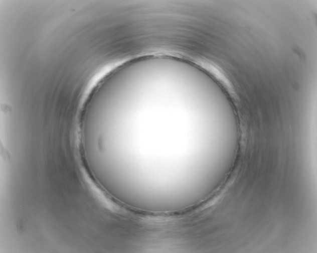 X0000091351040200708101033