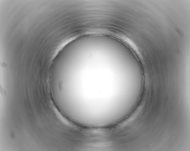 X0000091351041200708101033