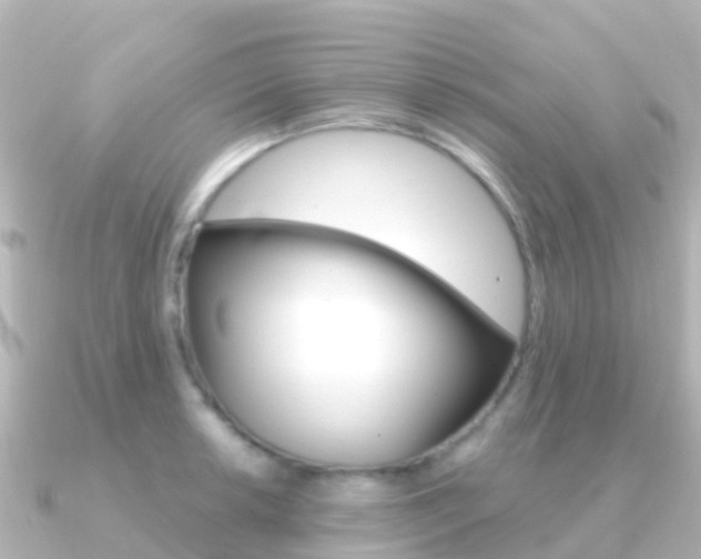 X0000091351042200708101033