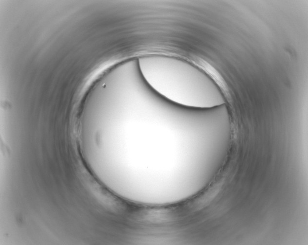 X0000091351043200708101033