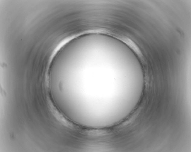 X0000091351044200708101033
