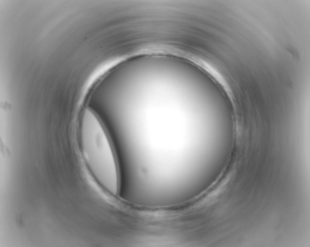 X0000091351045200708101033
