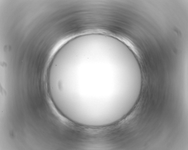 X0000091351046200708101033