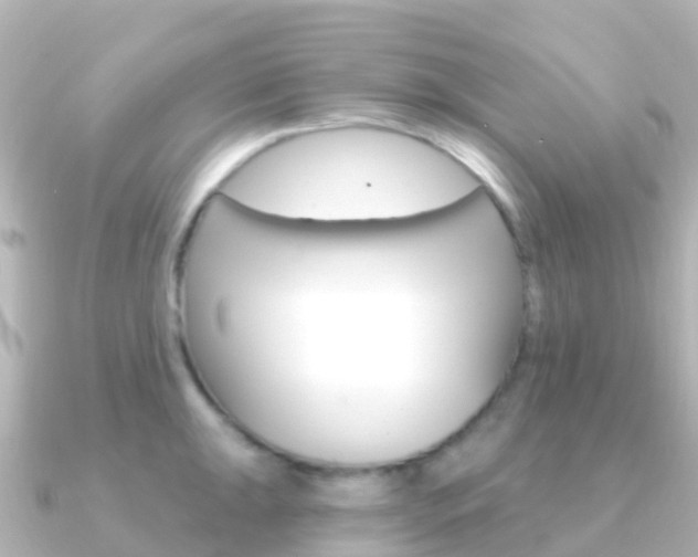 X0000091351047200708101033