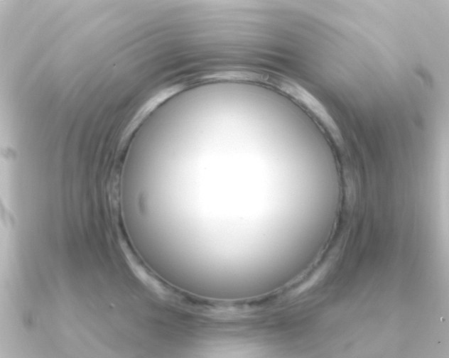 X0000091351049200708101033