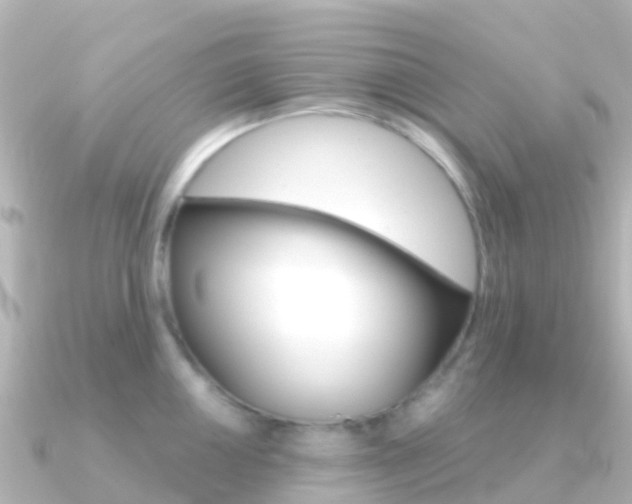 X0000091351050200708101033