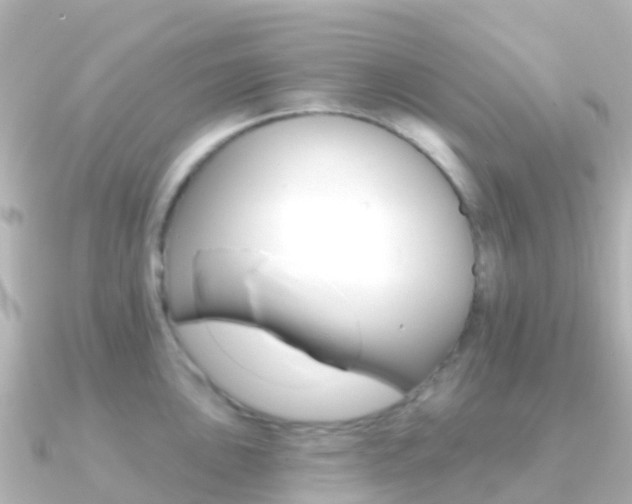 X0000091351051200708101033