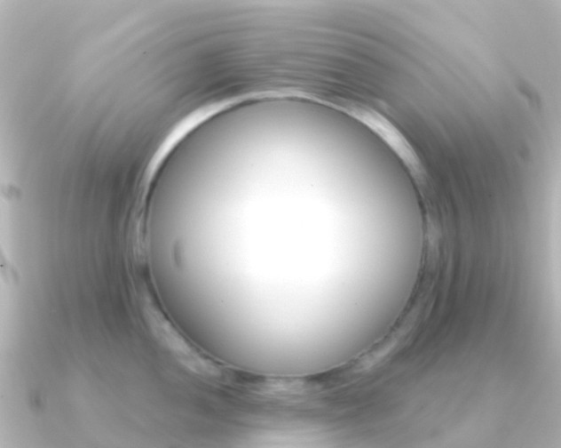 X0000091351052200708101033