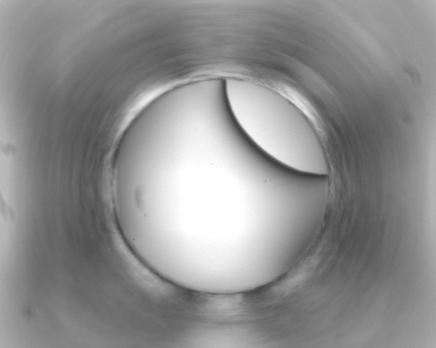 X0000091351055200708101033