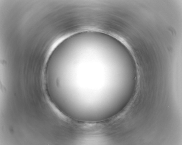X0000091351056200708101033