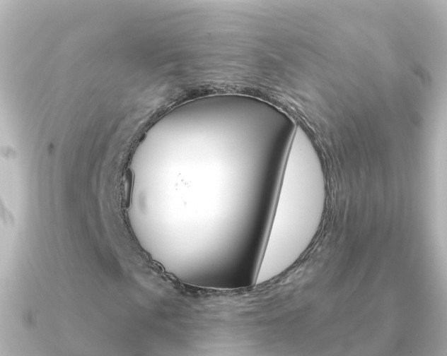 X0000091351057200708101033