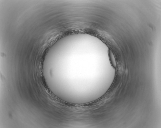 X0000091351060200708101033