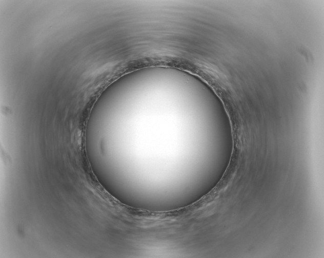X0000091351061200708101033