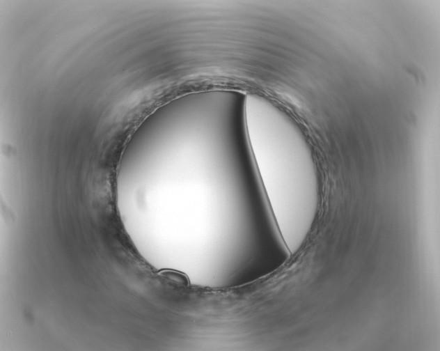 X0000091351062200708101033