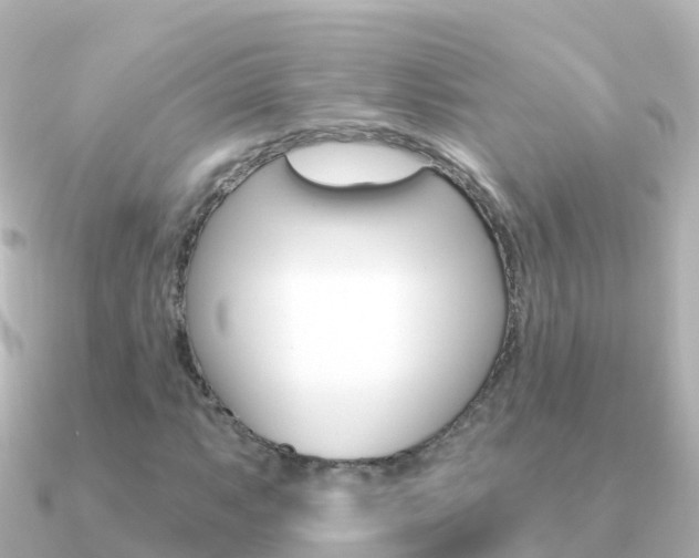 X0000091351063200708101033