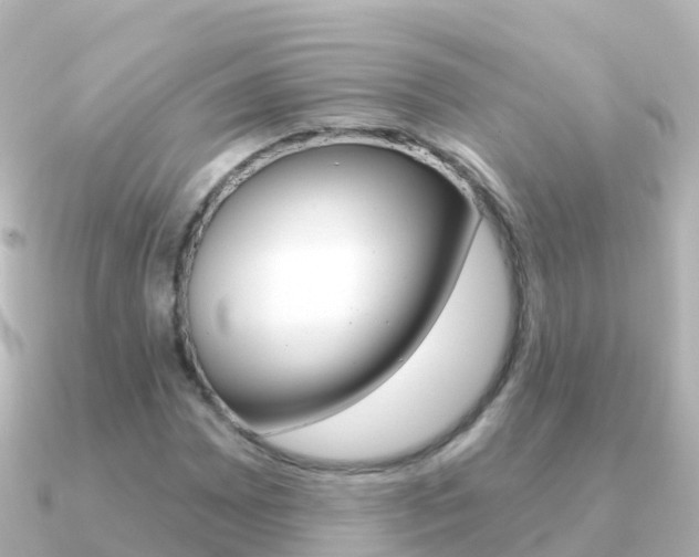 X0000091351065200708101033