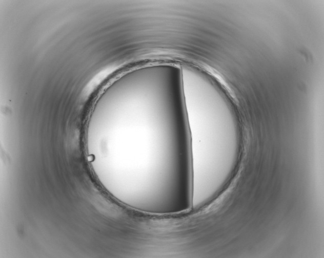 X0000091351066200708101033