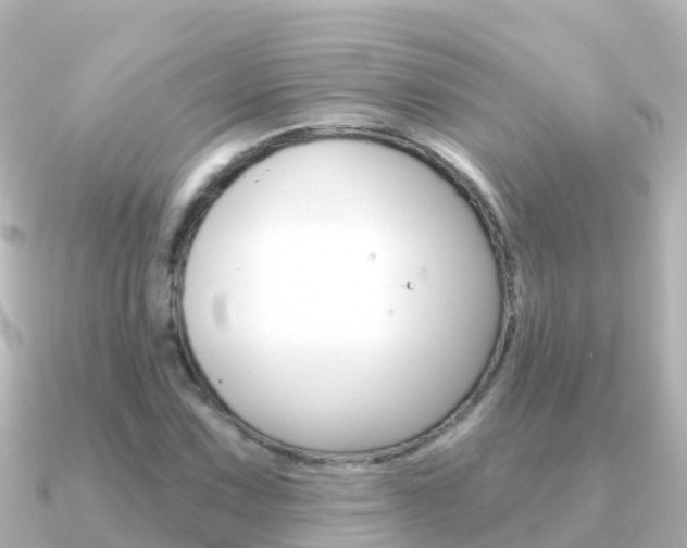 X0000091351067200708101033