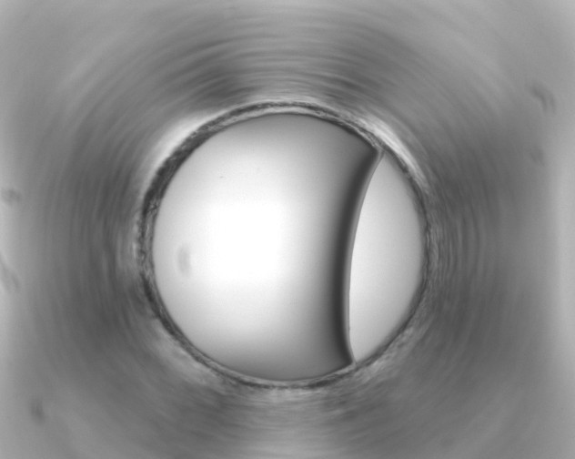 X0000091351068200708101033