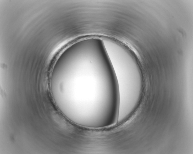 X0000091351069200708101033