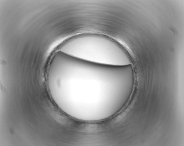 X0000091351070200708101033